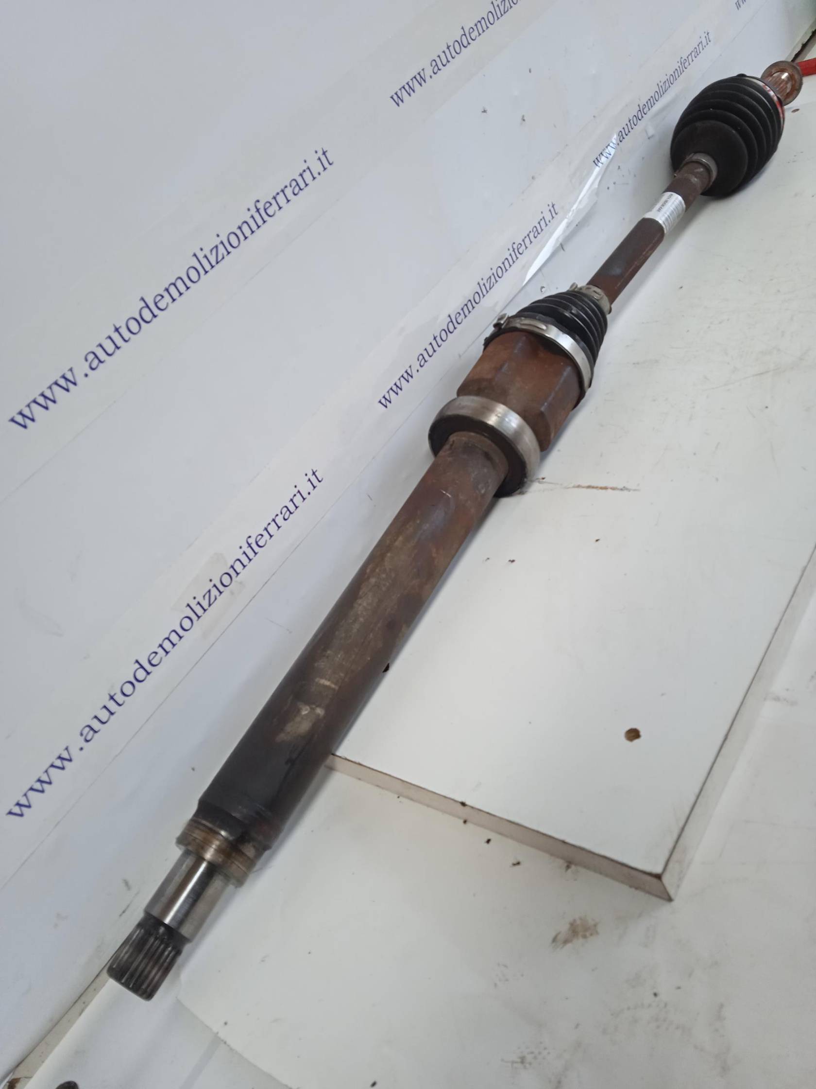 Semialbero ant. compl. dx.